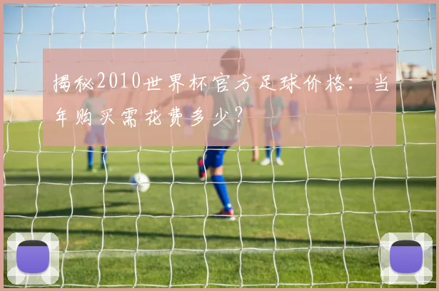 揭秘2010世界杯官方足球价格：当年购买需花费多少？