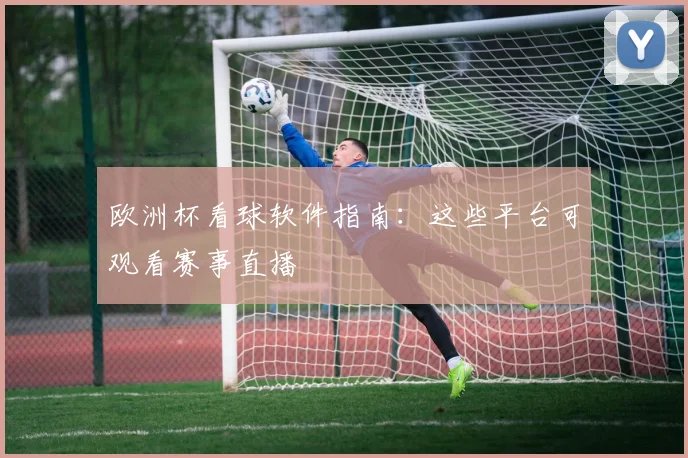 欧洲杯看球软件指南：这些平台可观看赛事直播