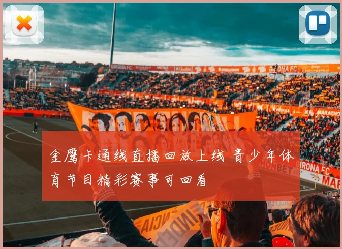 金鹰卡通线直播回放上线 青少年体育节目精彩赛事可回看