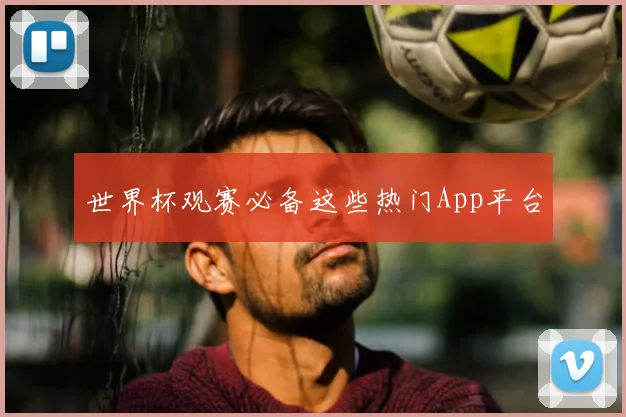 世界杯观赛必备这些热门App平台