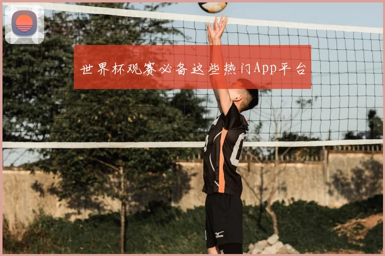 世界杯观赛必备这些热门App平台