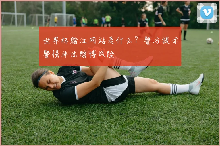 世界杯赌注网站是什么?警方提示警惕非法赌博风险