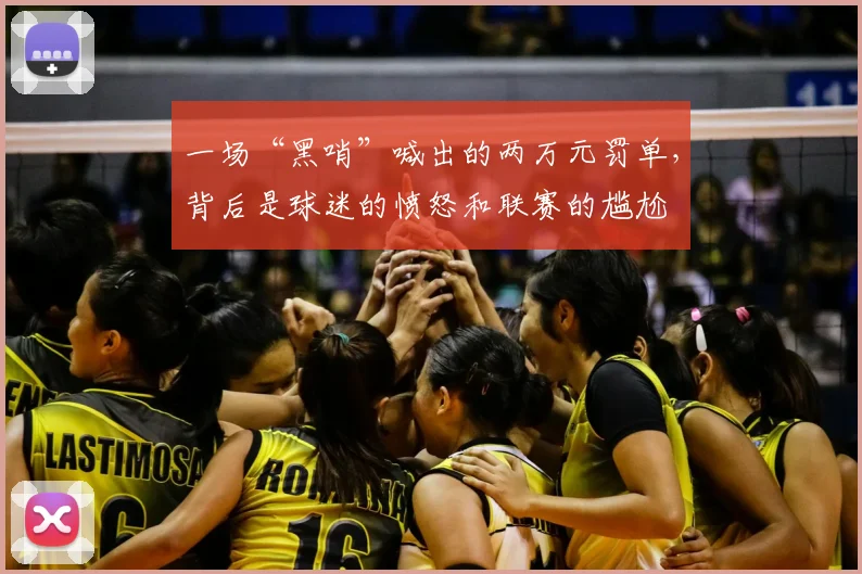 一场“黑哨”喊出的两万元罚单,背后是球迷的愤怒和联赛的尴尬