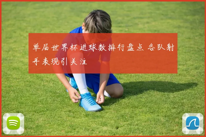 单届世界杯进球数排行盘点 各队射手表现引关注
