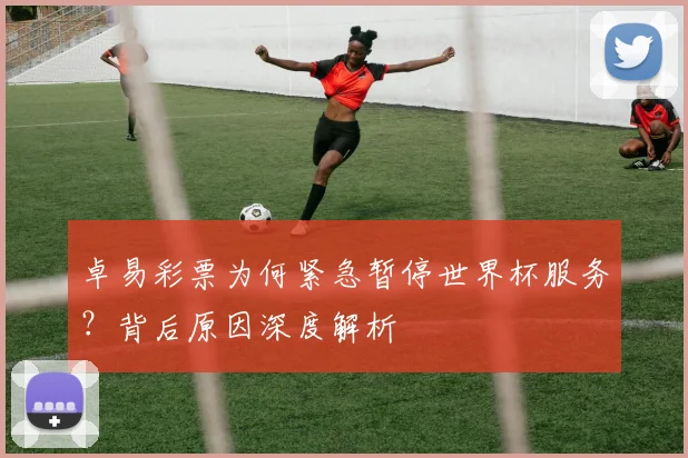 卓易彩票为何紧急暂停世界杯服务？背后原因深度解析