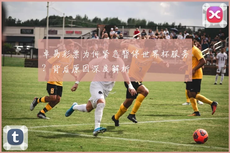 卓易彩票为何紧急暂停世界杯服务？背后原因深度解析