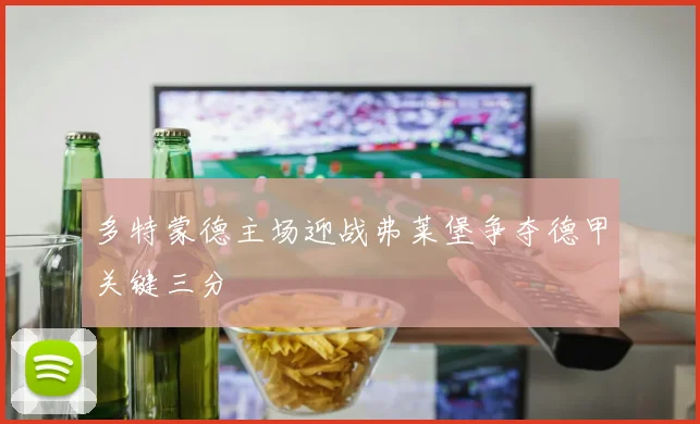 多特蒙德主场迎战弗莱堡争夺德甲关键三分