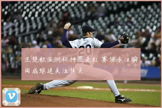 王楚钦亚洲杯神图走红 赛场专注瞬间成球迷关注焦点