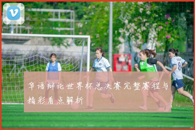 华语辩论世界杯总决赛完整赛程与精彩看点解析