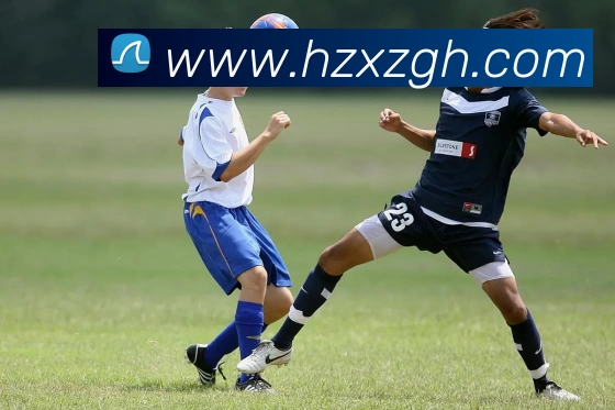 mksports - mk(中国)一站式服务体育平台生态图